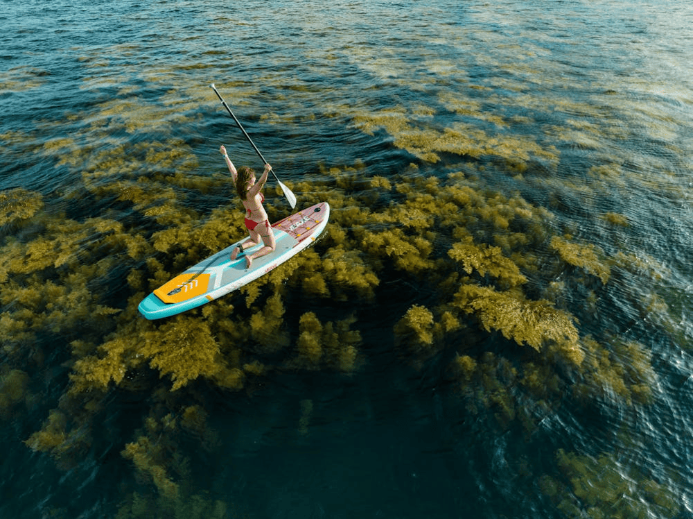 The sargassum transforms Hon Kho into a sea of glowing golden hues (Source: Pexels)